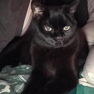 Meet your Posher, Jeffrey